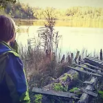 Zagroda Warminska Pszczola Purda