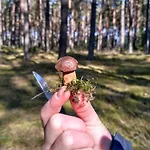 Hébergement de vacances Zagroda Warminska Pszczola *