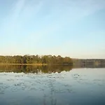 Zagroda Warminska Pszczola Purda