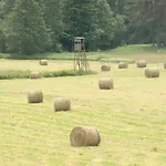 Zagroda Warminska Pszczola * Purda