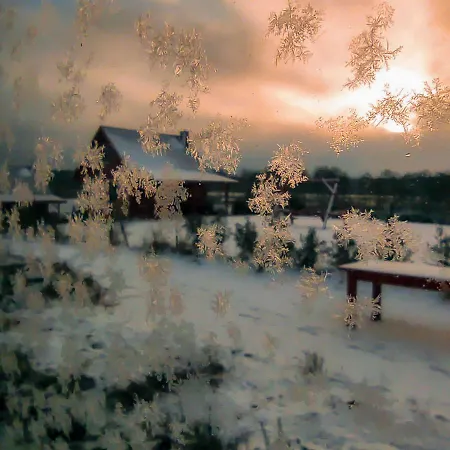 Zagroda Warminska Pszczola 別荘 Purda