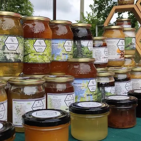 別荘 Zagroda Warminska Pszczola