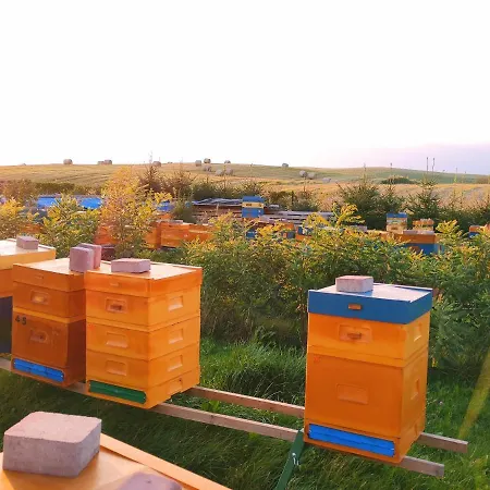 別荘 Zagroda Warminska Pszczola