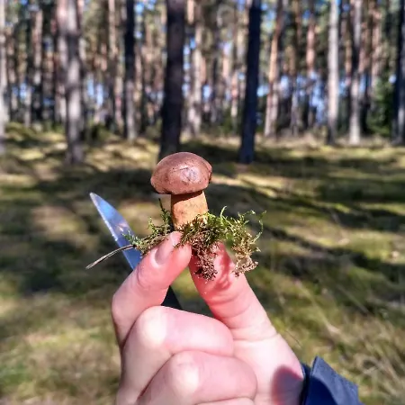 度假居 Zagroda Warminska Pszczola *