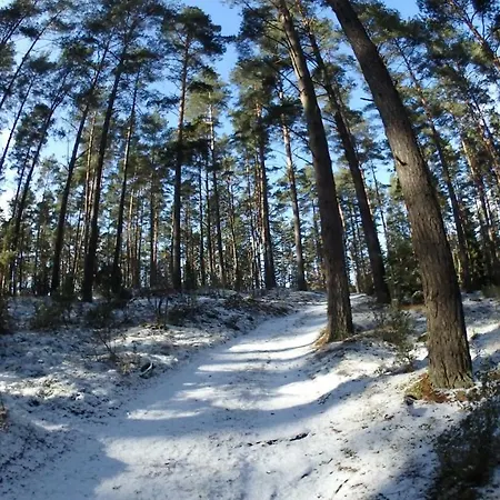 Zagroda Warminska Pszczola *