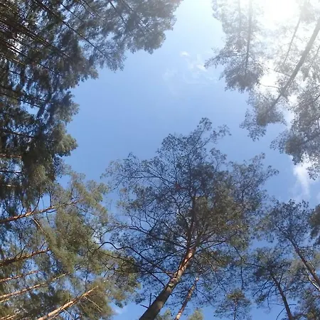 Zagroda Warminska Pszczola *