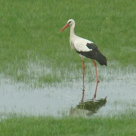 Prázdninový dům Zagroda Warminska Pszczola Purda