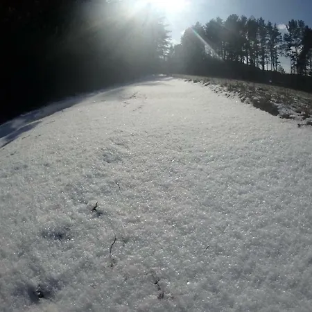 Zagroda Warminska Pszczola 度假居 *