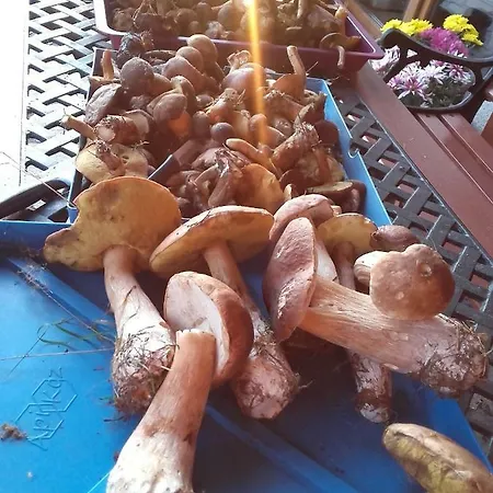 度假居 Zagroda Warminska Pszczola *