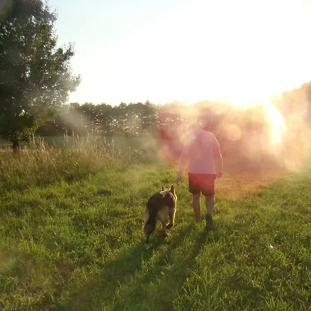 Zagroda Warminska Pszczola 別荘 *