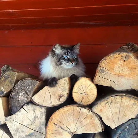 Zagroda Warminska Pszczola 別荘