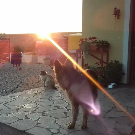 Prázdninový dům Zagroda Warminska Pszczola