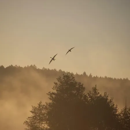 Zagroda Warminska Pszczola 別荘 *