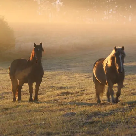 別荘 Zagroda Warminska Pszczola *