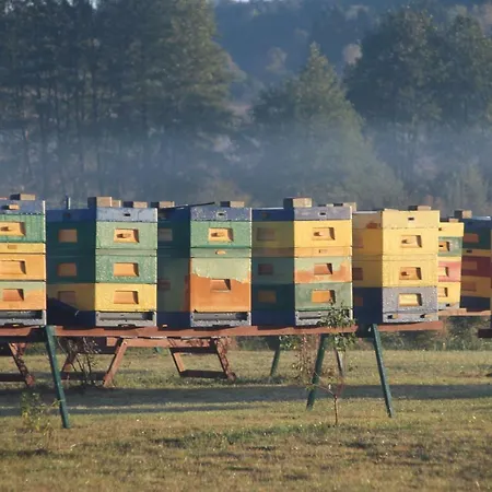 Zagroda Warminska Pszczola Purda