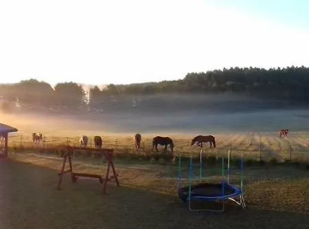Zagroda Warminska Pszczola * Purda