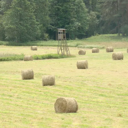 Zagroda Warminska Pszczola * Purda