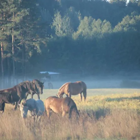 Zagroda Warminska Pszczola 別荘 Purda